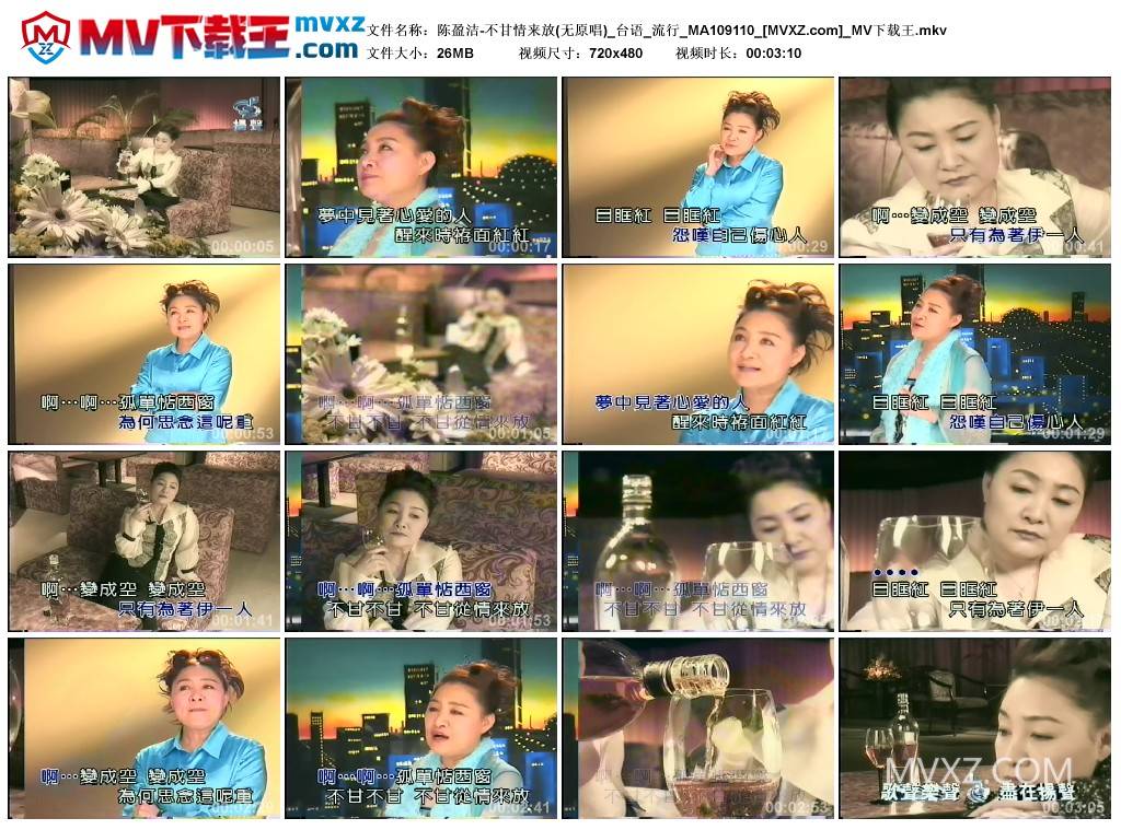 陈盈洁-不甘情来放(无原唱)_台语_流行_MA109110